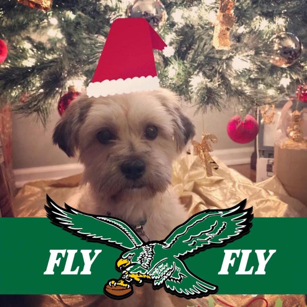 Meet your Posher, Jamie